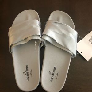 Silver Slides
